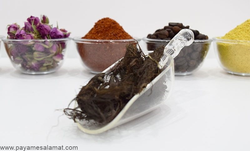 خواص ریشه سنبل الطیب