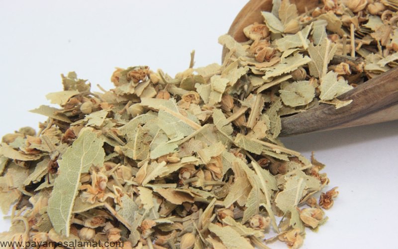خواص چای لیندن