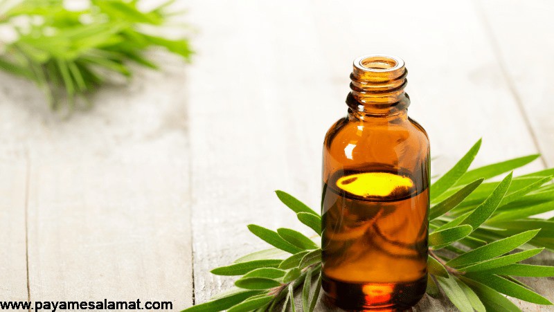 کاربرد روغن درخت چای برای درمان جوش و آکنه