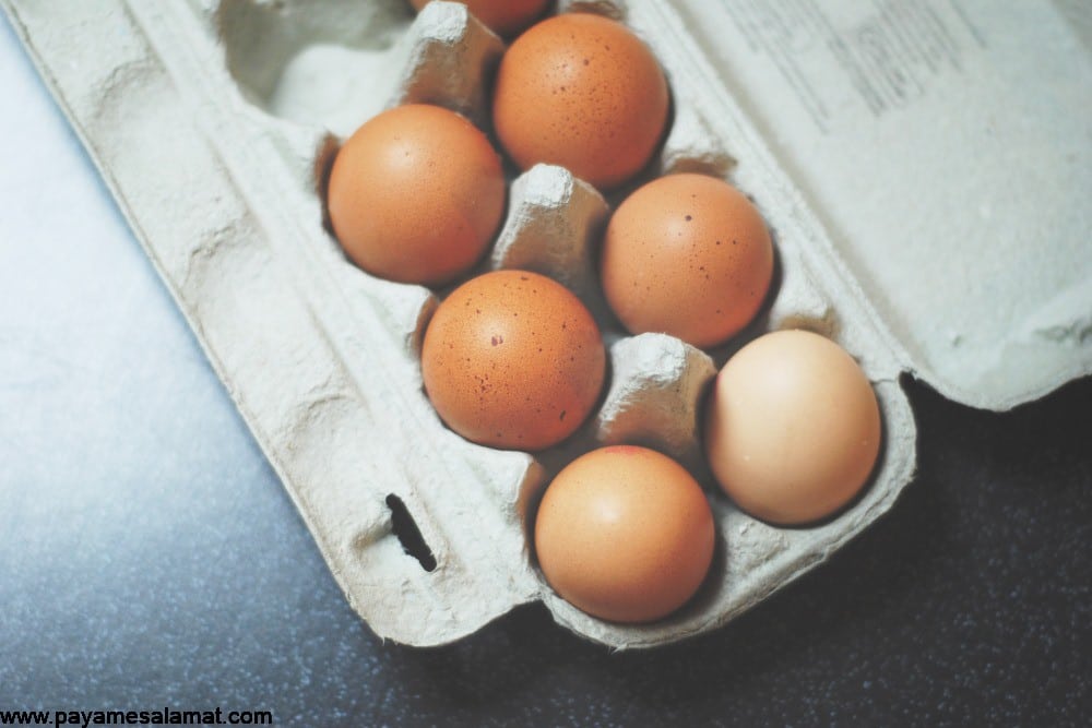 تفاوت تخم مرغ قهوه ای و تخم مرغ سفید