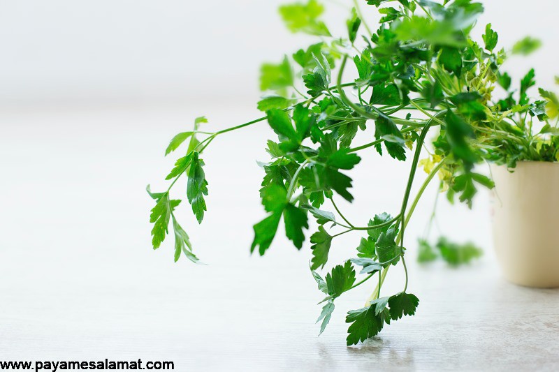 چند ماده غذایی عالی برای از بین بردن استرس